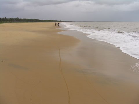 Ponta da Baleia - Barra de Alcobaça