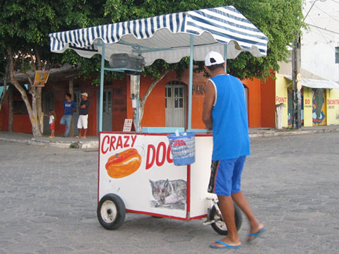 Crazy Dog - Alcobaça, BA