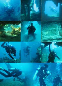 Mergulho em Abrolhos