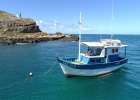 Trawler Bate e Volta